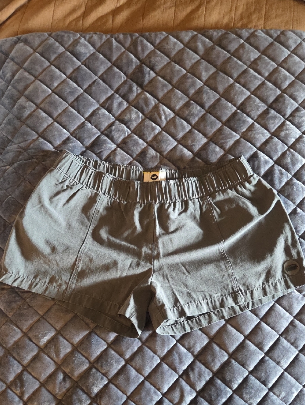 Fayettechill Grey/Blue Shorts